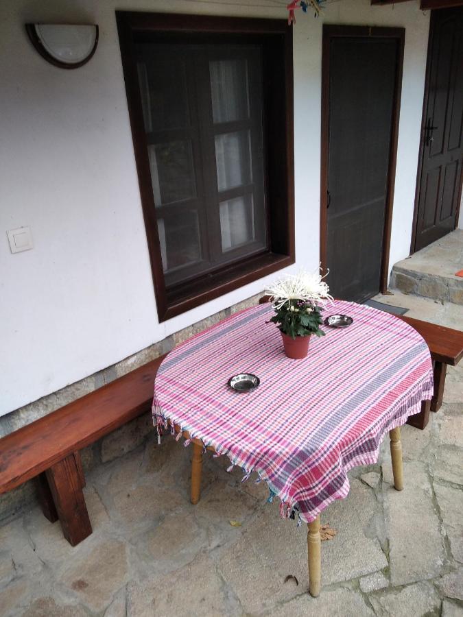 Razsukanova House , Разсукановата Къща Elena Bagian luar foto